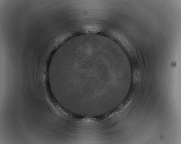 X0000098070451200804041129