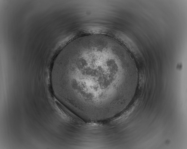 X0000098070453200804041129