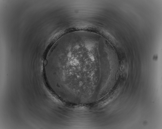 X0000098070454200804041129