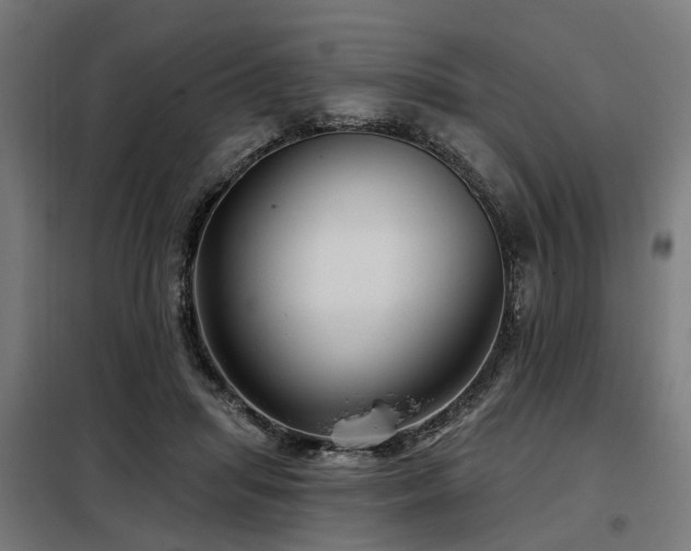 X0000098070455200804041129