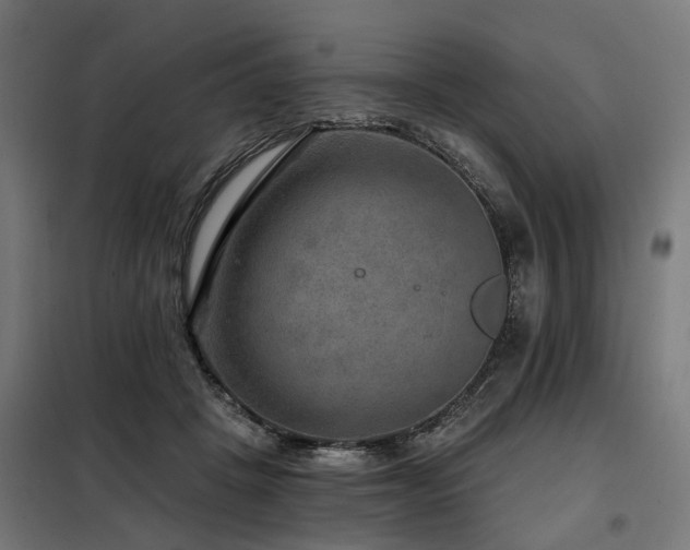 X0000098070457200804041129