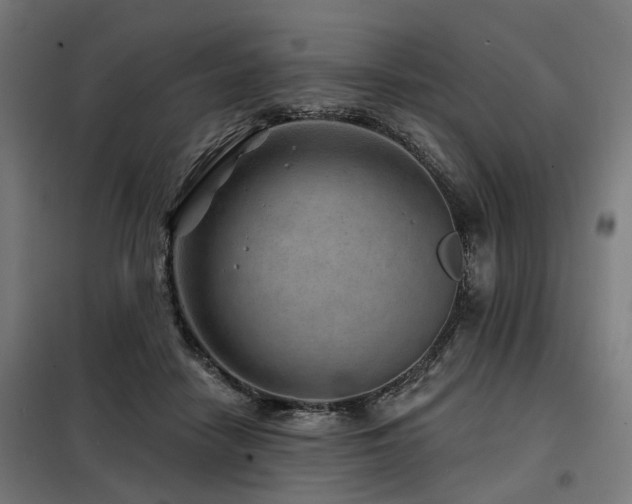 X0000098070458200804041129