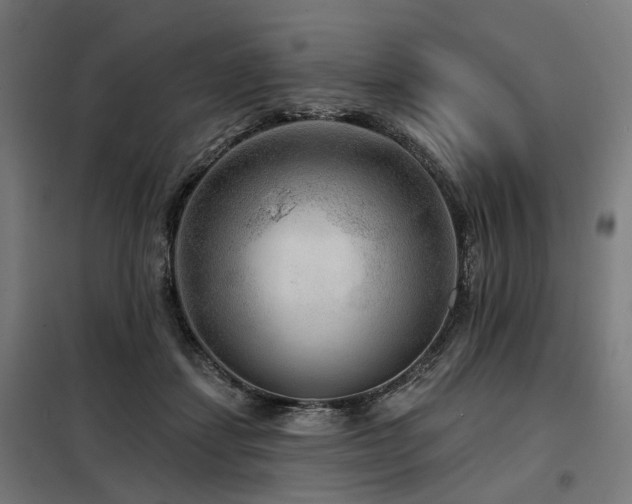 X0000098070459200804041129