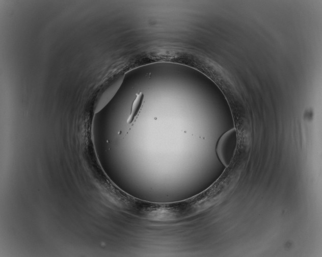 X0000098070460200804041129