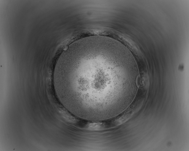 X0000098070461200804041129