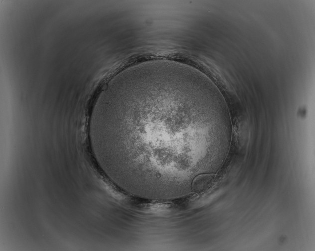 X0000098070462200804041129