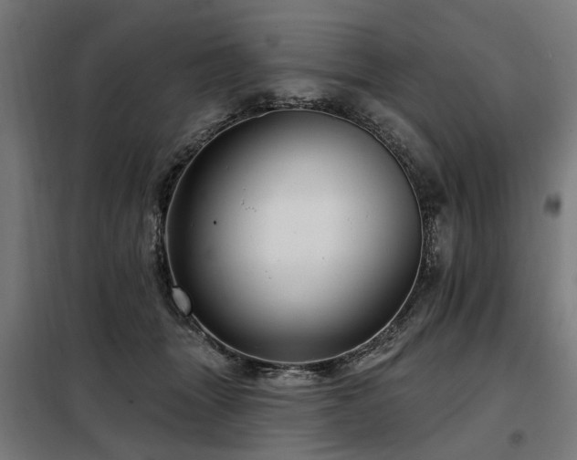 X0000098070463200804041129