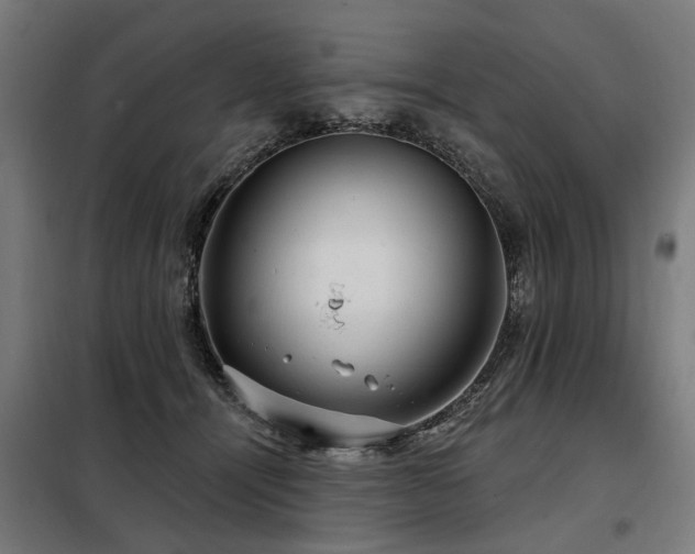 X0000098070464200804041129