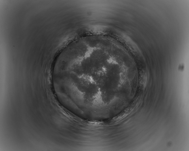 X0000098070465200804041129