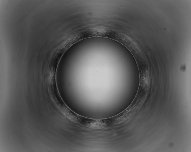 X0000098070468200804041129