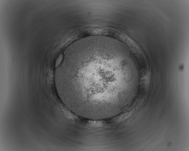 X0000098070469200804041129