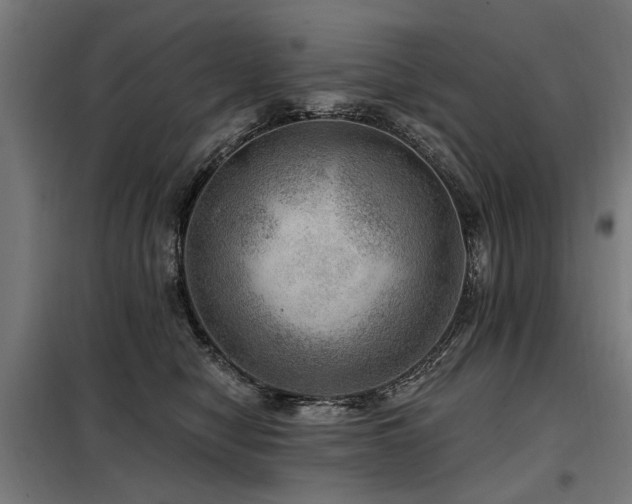 X0000098070470200804041129