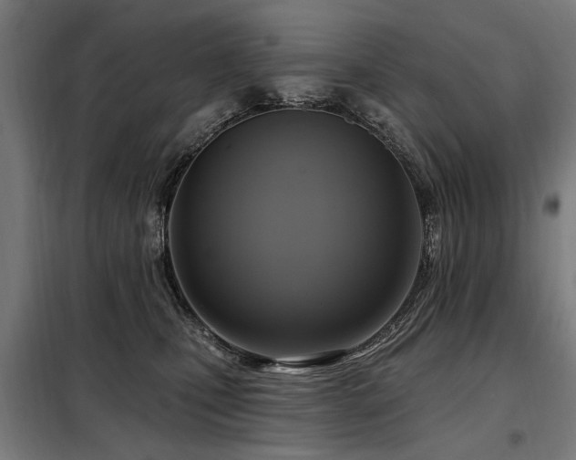 X0000098070471200804041129