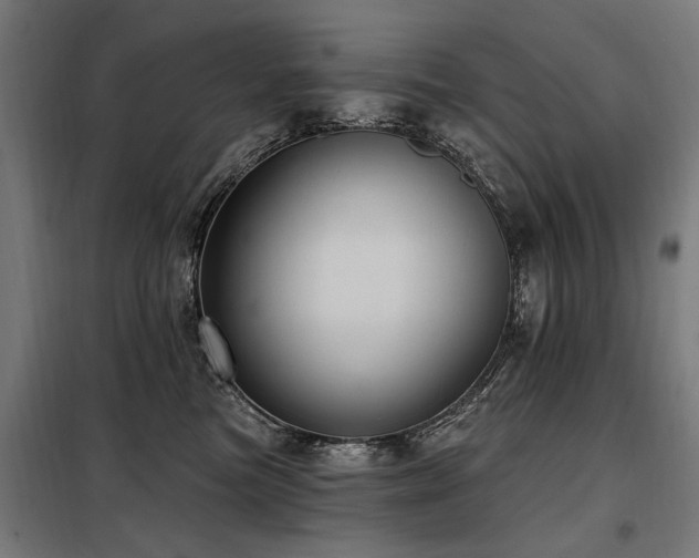 X0000098070473200804041129