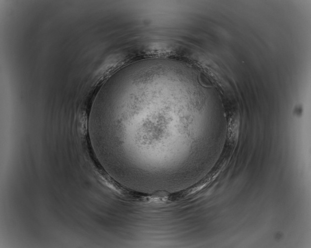 X0000098070474200804041129