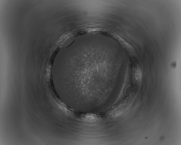 X0000098070475200804041129