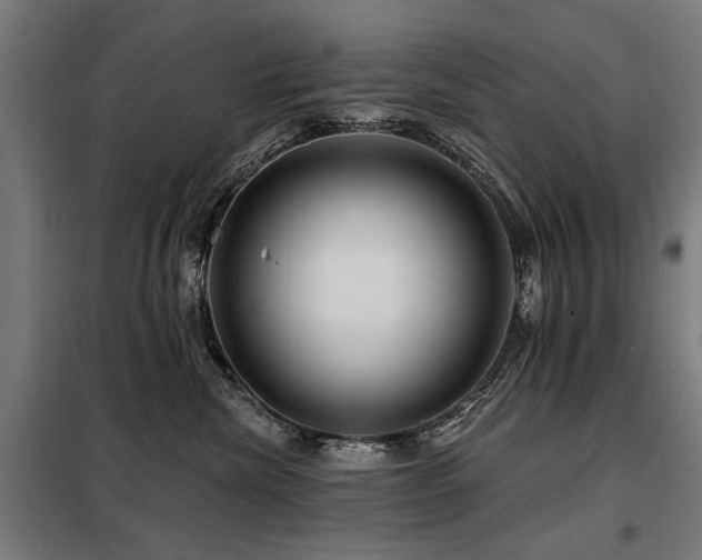 X0000098070476200804041129