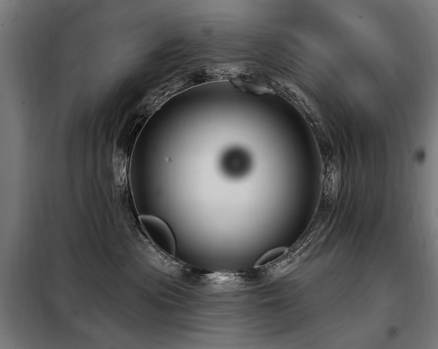 X0000098070477200804041129