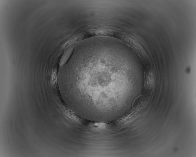 X0000098070478200804041129