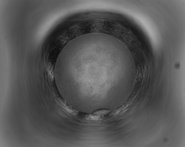 X0000098070479200804041129