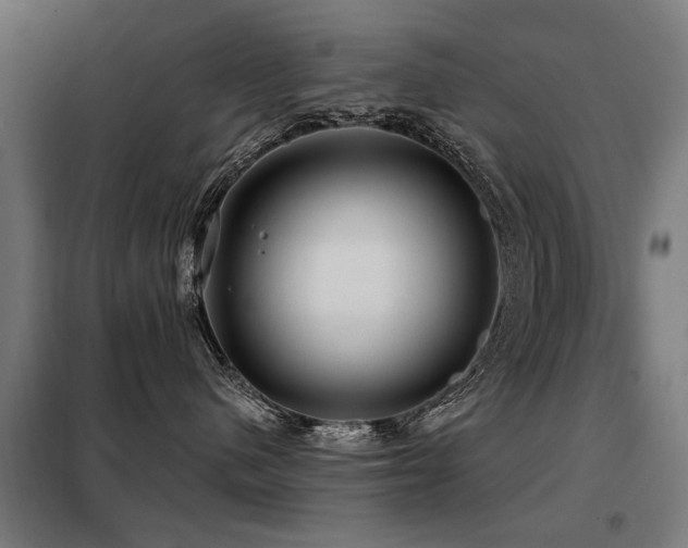 X0000098070480200804041129