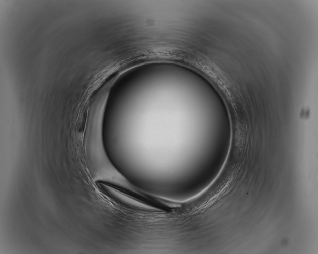 X0000098070481200804041128