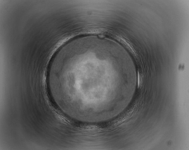 X0000098070483200804041128