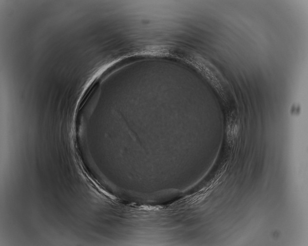 X0000098070484200804041128