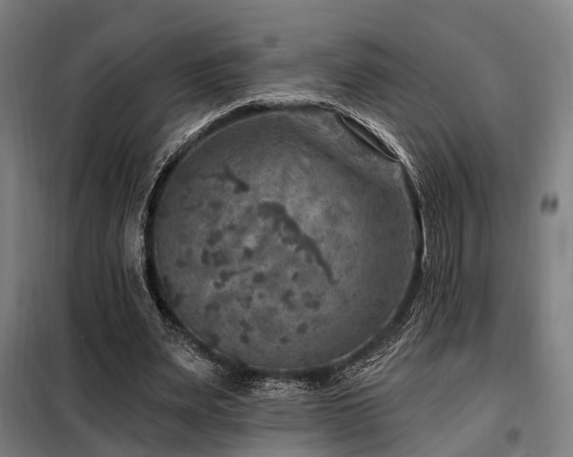 X0000098070487200804041128