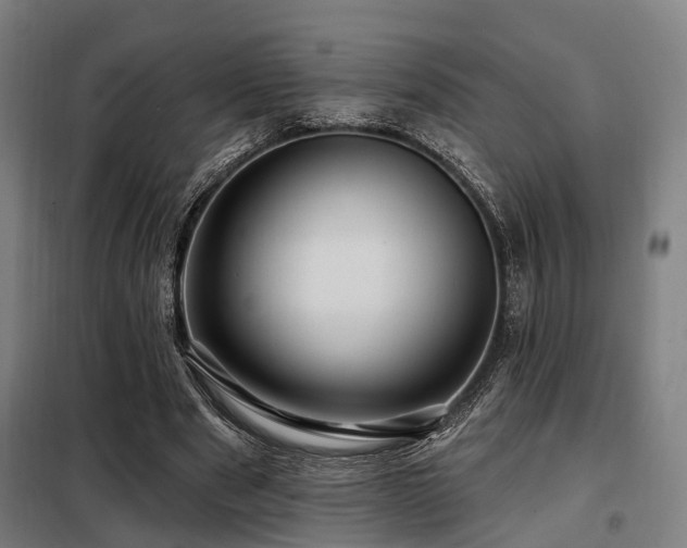 X0000098070489200804041128