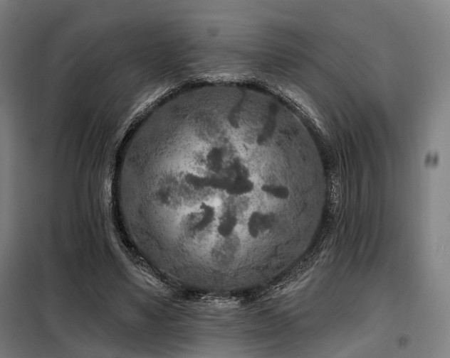 X0000098070491200804041128