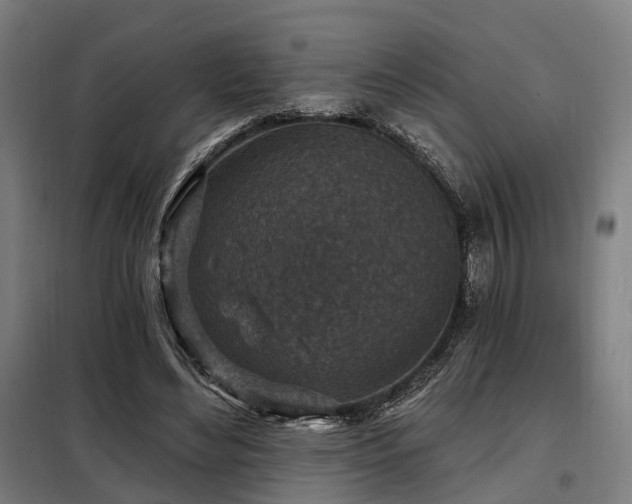 X0000098070492200804041128