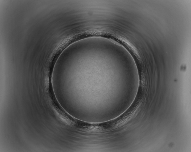 X0000098070493200804041128