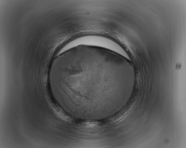 X0000098070495200804041128