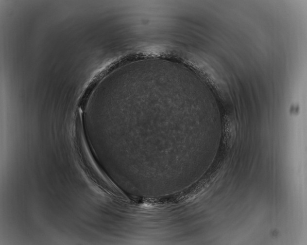 X0000098070496200804041128