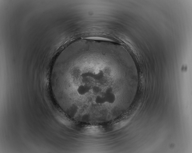 X0000098070499200804041128