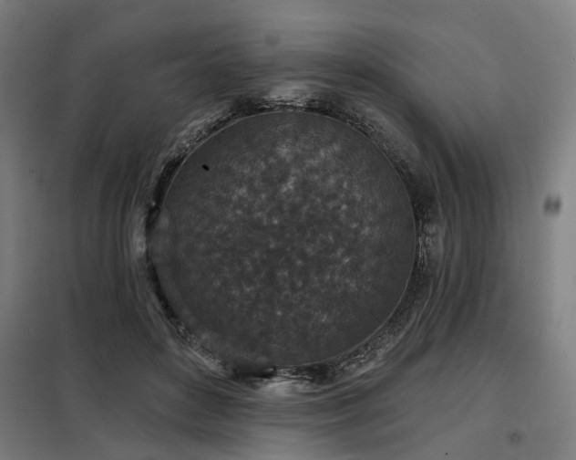 X0000098070504200804041128