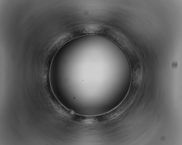 X0000098070505200804041128