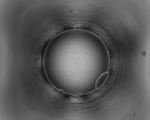 X0000098070510200804041128