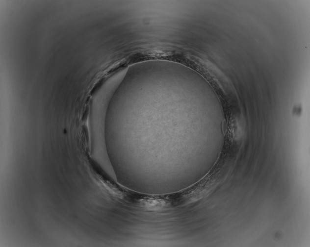 X0000098070512200804041128