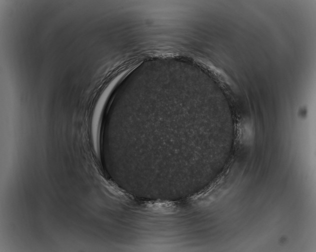 X0000098070517200804041128