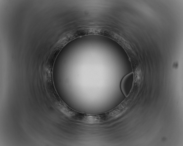 X0000098070522200804041128