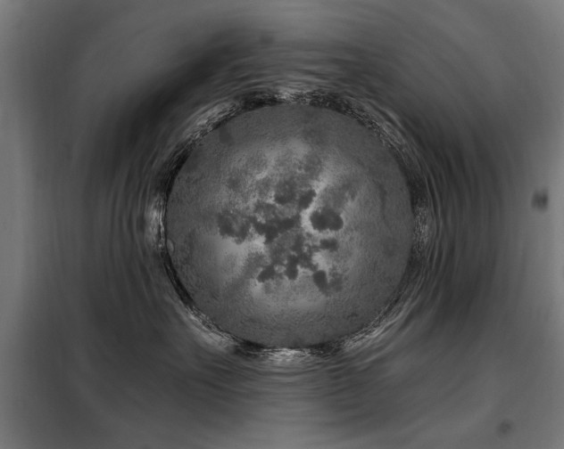 X0000098070527200804041128