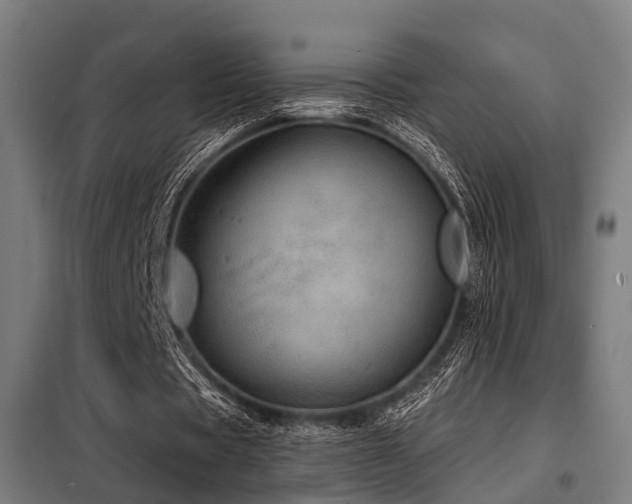 X0000098070529200804041127