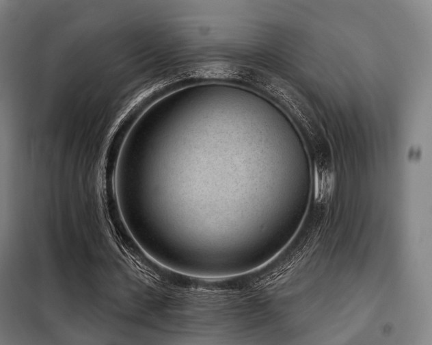 X0000098070531200804041127