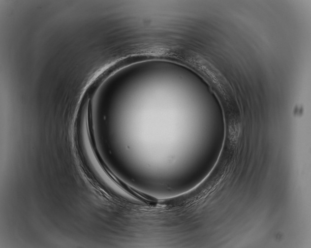 X0000098070532200804041127