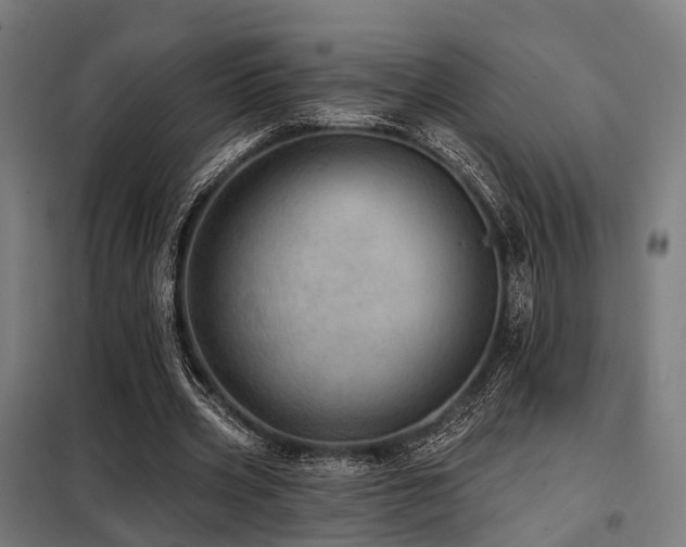 X0000098070533200804041127