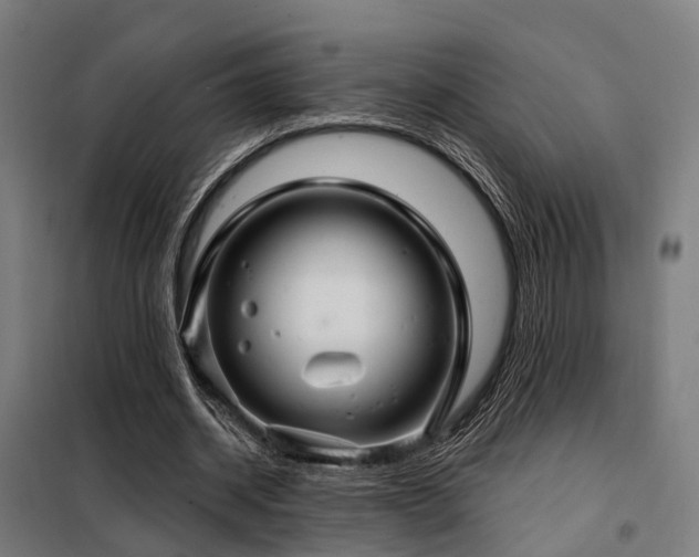 X0000098070534200804041127