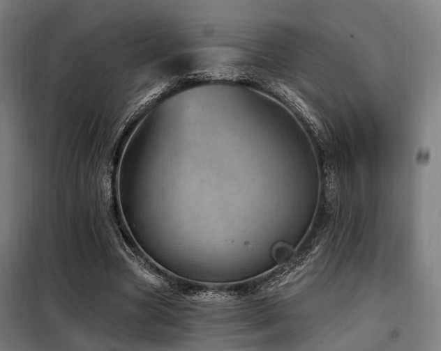 X0000098070537200804041127