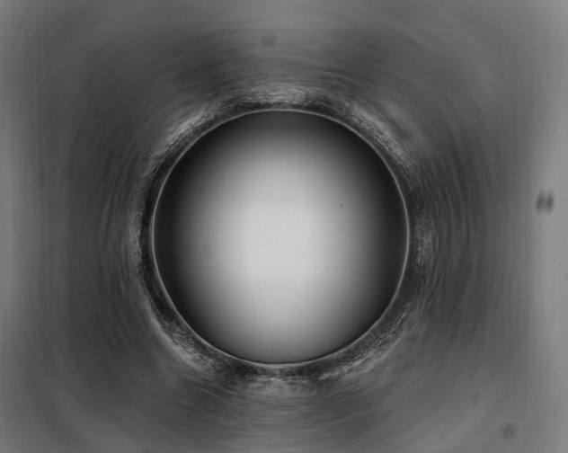 X0000098070538200804041127